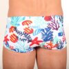 Shorty Coral White - Image 4
